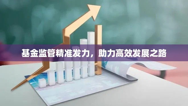 基金監(jiān)管精準(zhǔn)發(fā)力，助力高效發(fā)展之路
