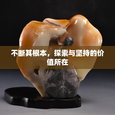 不斷其根本，探索與堅(jiān)持的價(jià)值所在