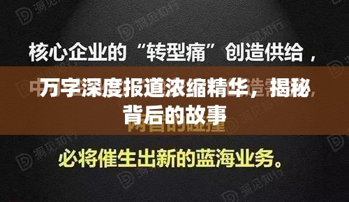 萬字深度報道濃縮精華，揭秘背后的故事