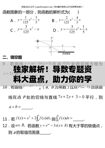 獨(dú)家解析！導(dǎo)數(shù)專題資料大盤點(diǎn)，助力你的學(xué)習(xí)飛躍！