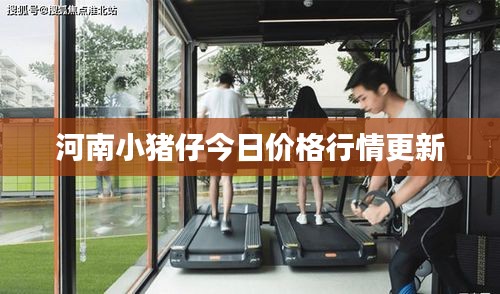 河南小豬仔今日價(jià)格行情更新