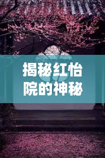 揭秘紅怡院的神秘面紗，一探未知的世界