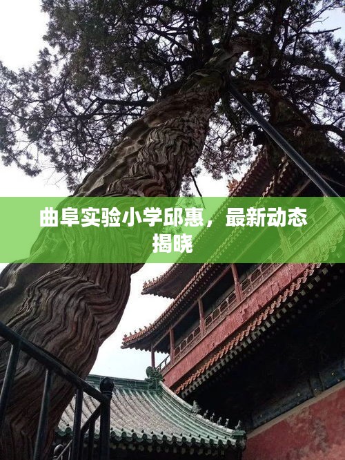 插翅難飛 第2頁