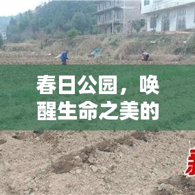 春日公園，喚醒生命之美的醉人畫卷