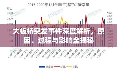 大板橋突發(fā)事件深度解析，原因、過程與影響全揭秘