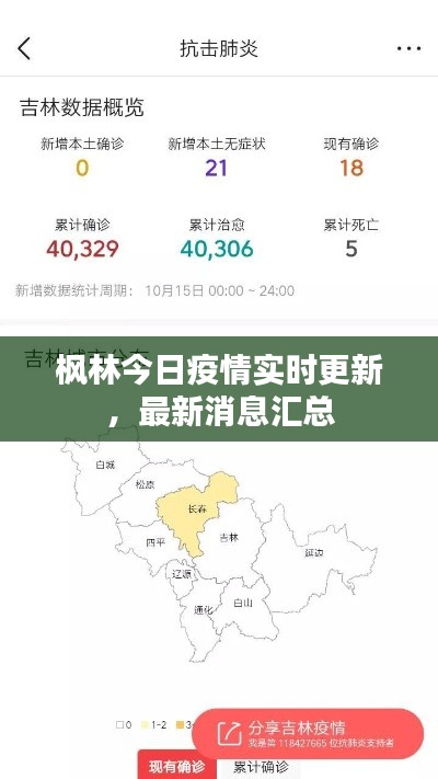 楓林今日疫情實(shí)時(shí)更新，最新消息匯總