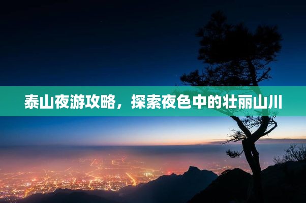 泰山夜游攻略，探索夜色中的壯麗山川