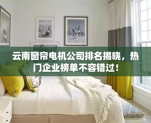 云南窗簾電機(jī)公司排名揭曉，熱門(mén)企業(yè)榜單不容錯(cuò)過(guò)！