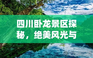 四川臥龍景區(qū)探秘，絕美風(fēng)光與深度旅游攻略
