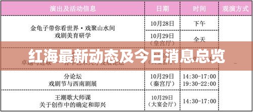 紅海最新動態(tài)及今日消息總覽