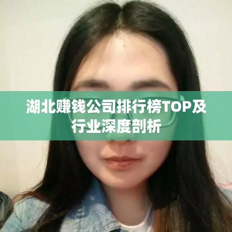 湖北賺錢公司排行榜TOP及行業(yè)深度剖析