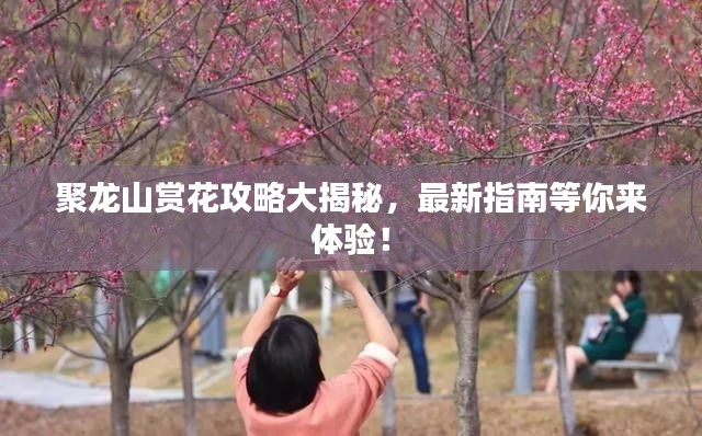 聚龍山賞花攻略大揭秘，最新指南等你來體驗！