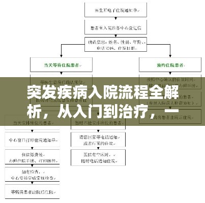 突發(fā)疾病入院流程全解析，從入門到治療，一篇文章搞定！