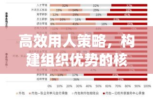 高效用人策略，構(gòu)建組織優(yōu)勢(shì)的核心秘訣
