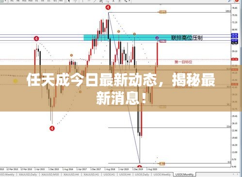 任天成今日最新動(dòng)態(tài)，揭秘最新消息！