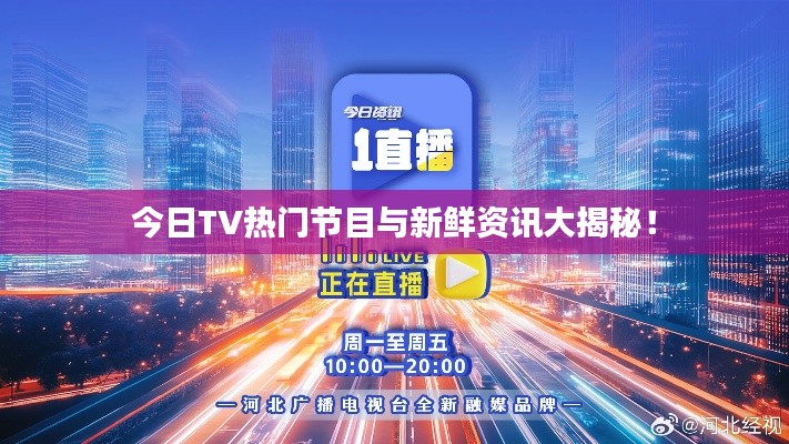 今日TV熱門(mén)節(jié)目與新鮮資訊大揭秘！