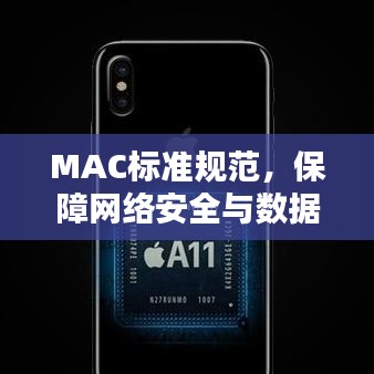 MAC標準規(guī)范，保障網絡安全與數(shù)據(jù)完整性的核心要素