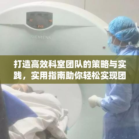 打造高效科室團隊的策略與實踐，實用指南助你輕松實現(xiàn)團隊協(xié)同力提升！