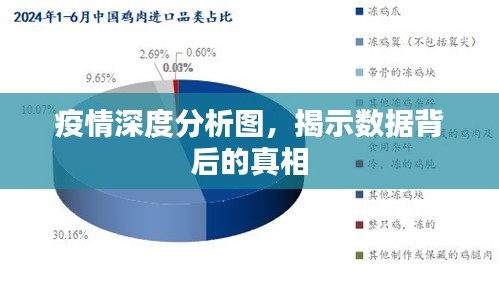疫情深度分析圖，揭示數(shù)據(jù)背后的真相