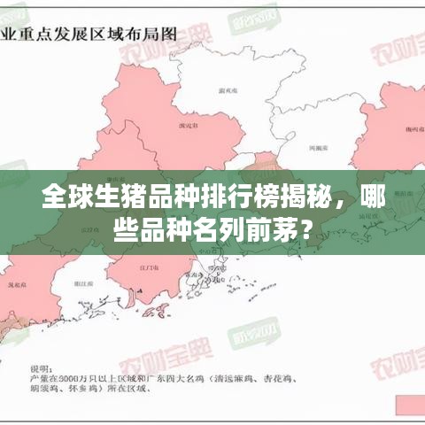 全球生豬品種排行榜揭秘，哪些品種名列前茅？