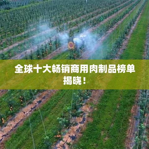 全球十大暢銷商用肉制品榜單揭曉！
