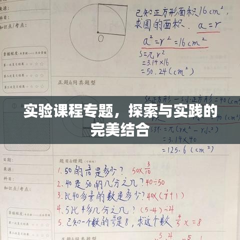 實驗課程專題，探索與實踐的完美結(jié)合