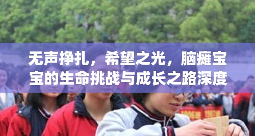無聲掙扎，希望之光，腦癱寶寶的生命挑戰(zhàn)與成長之路深度報(bào)道