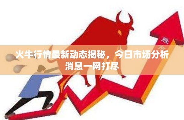 火牛行情最新動態(tài)揭秘，今日市場分析消息一網(wǎng)打盡