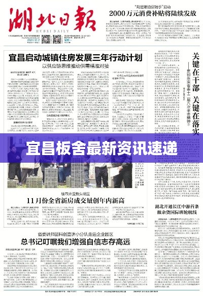 宜昌板舍最新資訊速遞