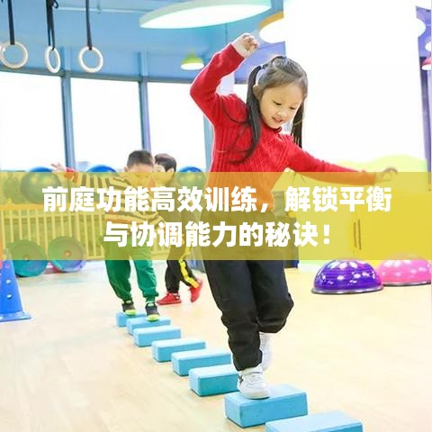 前庭功能高效訓(xùn)練，解鎖平衡與協(xié)調(diào)能力的秘訣！