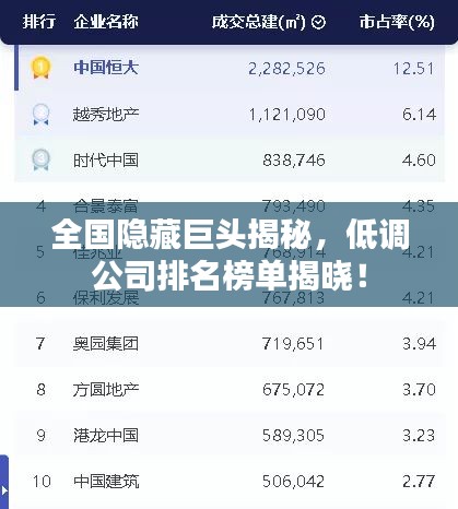 全國(guó)隱藏巨頭揭秘，低調(diào)公司排名榜單揭曉！