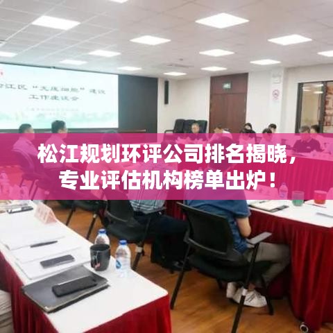 松江規(guī)劃環(huán)評(píng)公司排名揭曉，專業(yè)評(píng)估機(jī)構(gòu)榜單出爐！