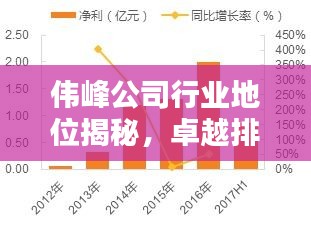 偉峰公司行業(yè)地位揭秘，卓越排名引領(lǐng)業(yè)界風(fēng)向標(biāo)