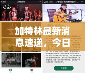 加特林最新消息速遞，今日動態(tài)一網(wǎng)打盡！