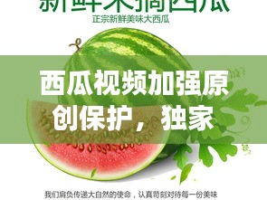 飛潛動植 第2頁