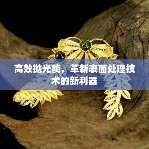 高效拋光酶，革新表面處理技術的新利器