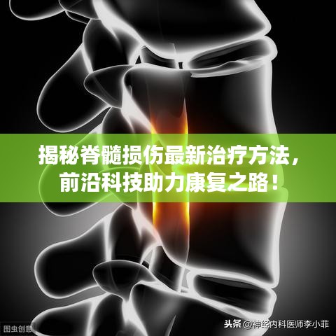 揭秘脊髓損傷最新治療方法，前沿科技助力康復(fù)之路！
