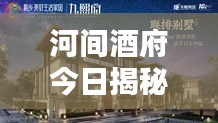 河間酒府今日揭秘，最新消息視頻獨(dú)家呈現(xiàn)！