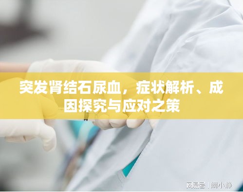 突發(fā)腎結(jié)石尿血，癥狀解析、成因探究與應(yīng)對(duì)之策