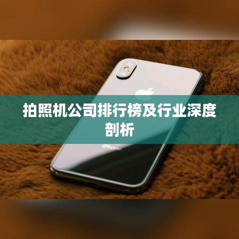 拍照機(jī)公司排行榜及行業(yè)深度剖析
