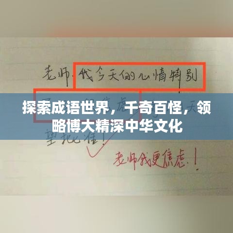 探索成語世界，千奇百怪，領(lǐng)略博大精深中華文化