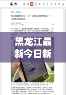 黑龍江最新今日新聞事件概覽，時事動態(tài)速遞