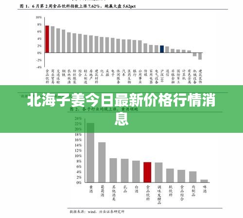 北海子姜今日最新價格行情消息