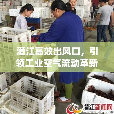 潛江高效出風(fēng)口，引領(lǐng)工業(yè)空氣流動(dòng)革新篇章
