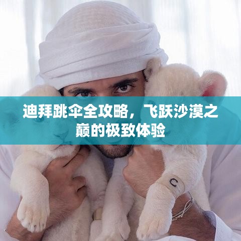 迪拜跳傘全攻略，飛躍沙漠之巔的極致體驗