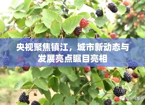 央視聚焦鎮(zhèn)江，城市新動態(tài)與發(fā)展亮點(diǎn)矚目亮相