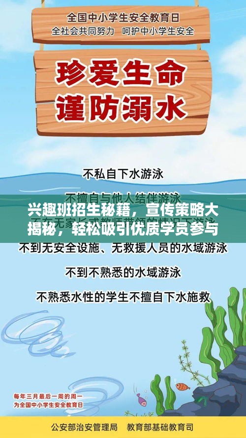 興趣班招生秘籍，宣傳策略大揭秘，輕松吸引優(yōu)質學員參與！
