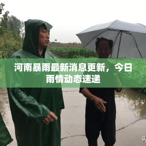 河南暴雨最新消息更新，今日雨情動態(tài)速遞