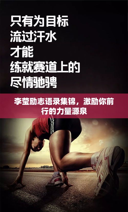 李瑩勵志語錄集錦，激勵你前行的力量源泉