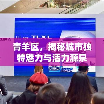青羊區(qū)，揭秘城市獨(dú)特魅力與活力源泉的專題探索
